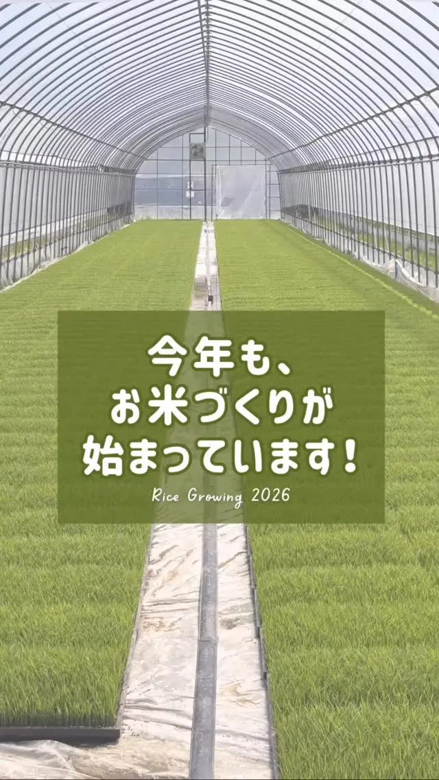 @ohshima_farm 1