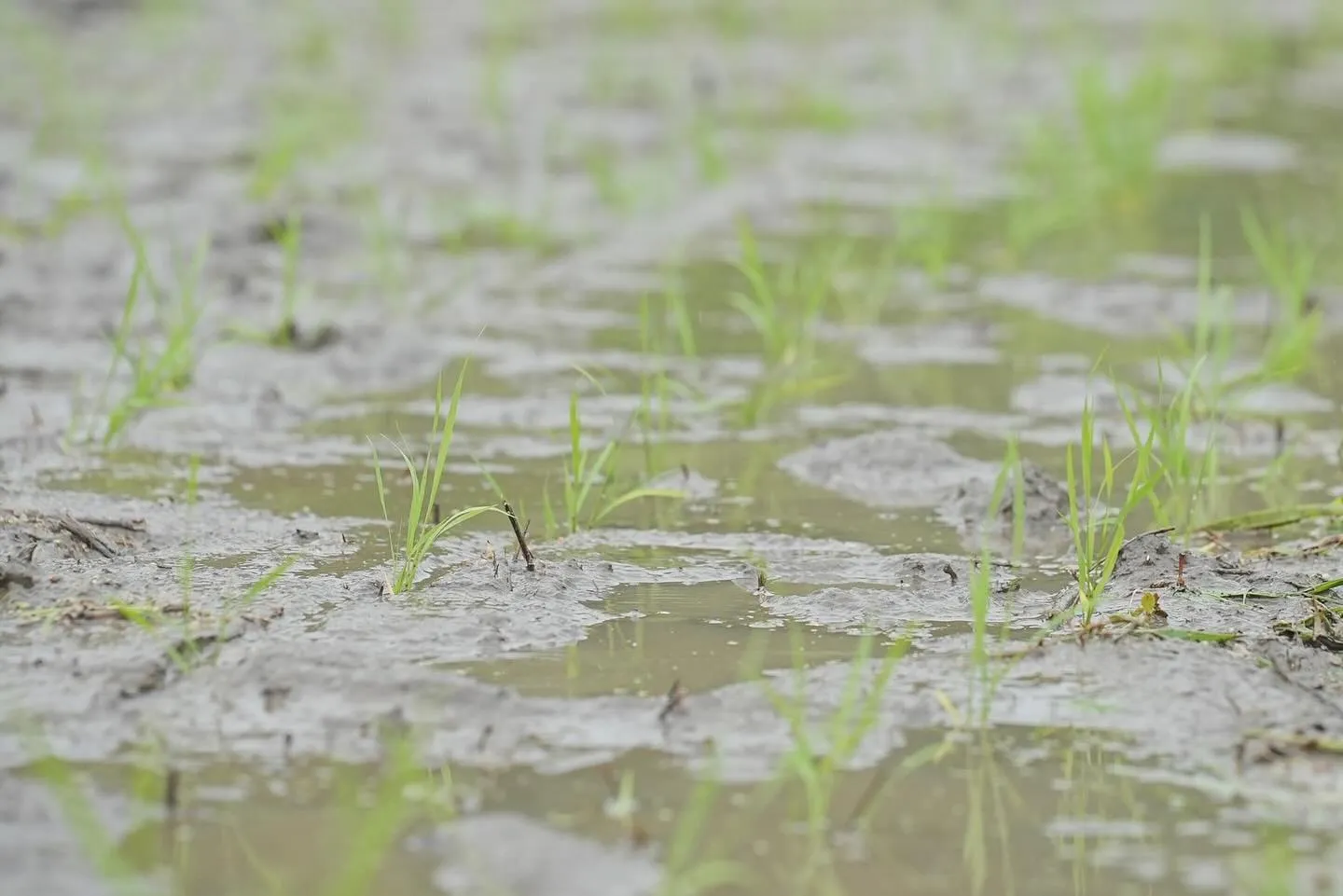 水の管理