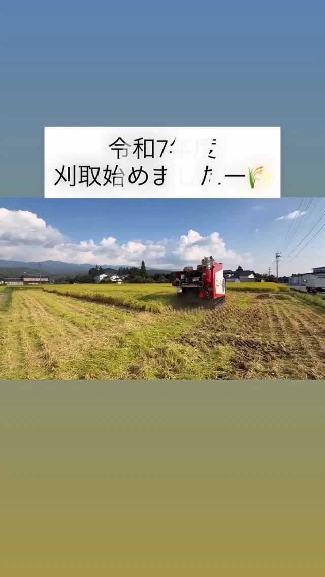@ohshima_farm 7