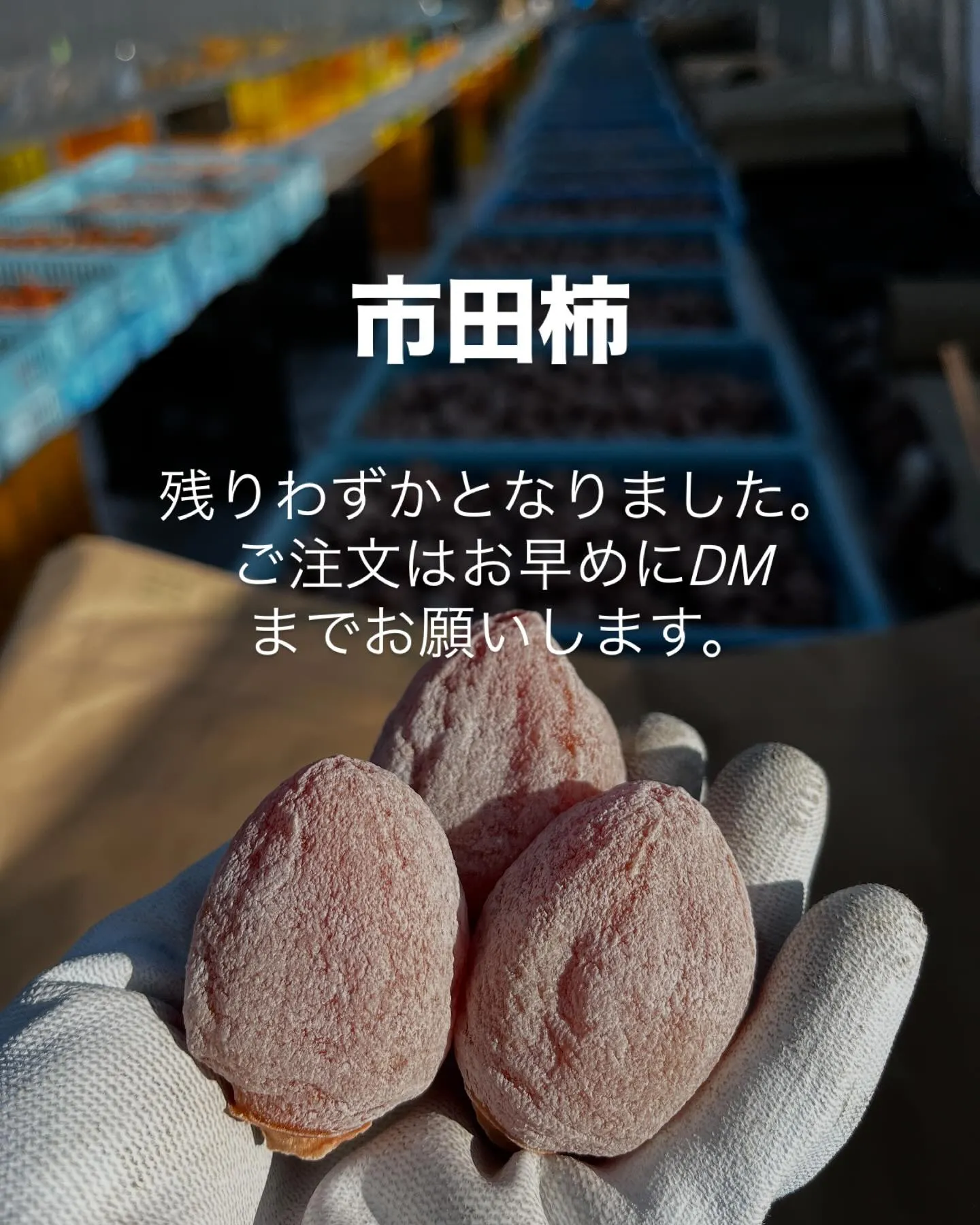 @ohshima_farm 9
