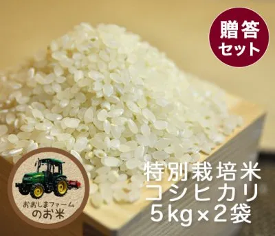 コシヒカリ贈答