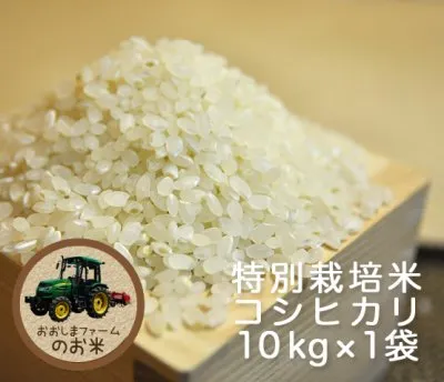 コシヒカリ10kg